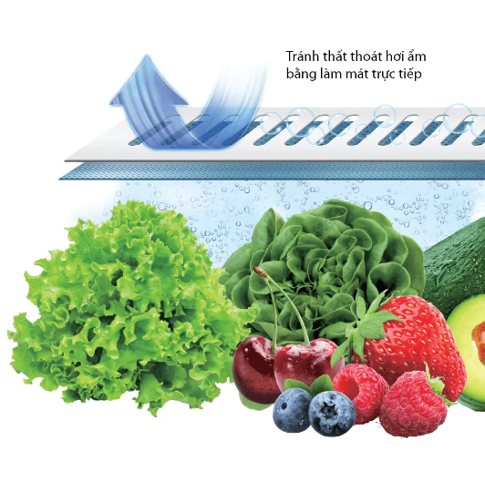 172795290500640996417