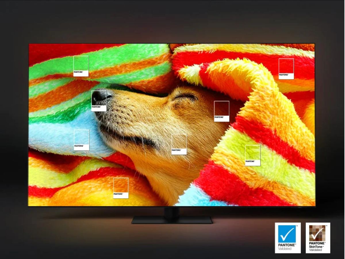 6-chung-nhan-pantone-cho-tivi-samsung-qa75q80c