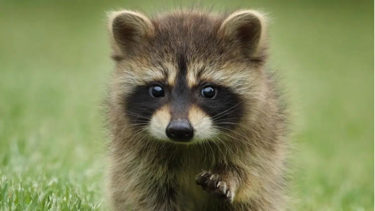 Biến tivi thành tác phẩm nghệ thuật với Google Photos