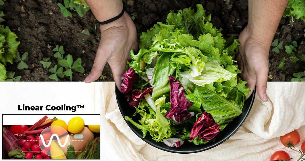 Công nghệ Linear Cooling™ giảm thiểu tình trạng biến động nhiệt bên trong tủ