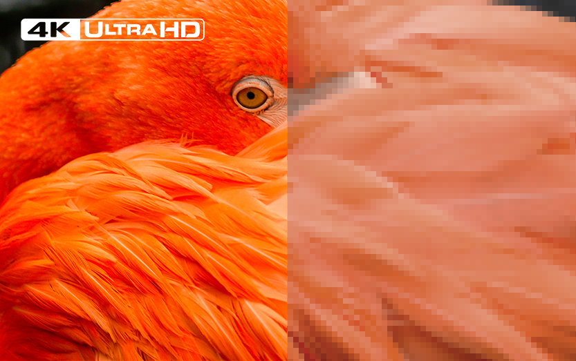 do-phan-giai-4k-sac-net_