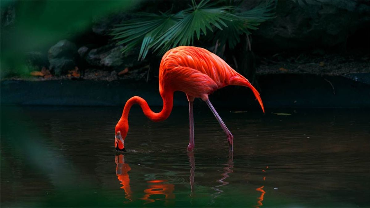 hdr-expression-enhancer Khả năng ánh xạ hình ảnh hiệu quả với HDR Expression Enhancer