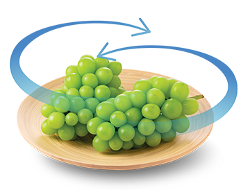 img-surround-1-1 Surround Air Cooling