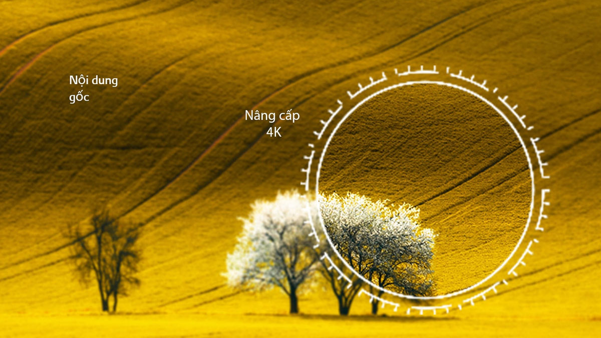 Màn hình độ phân giải 4K của tivi LG 75UR9050PSK